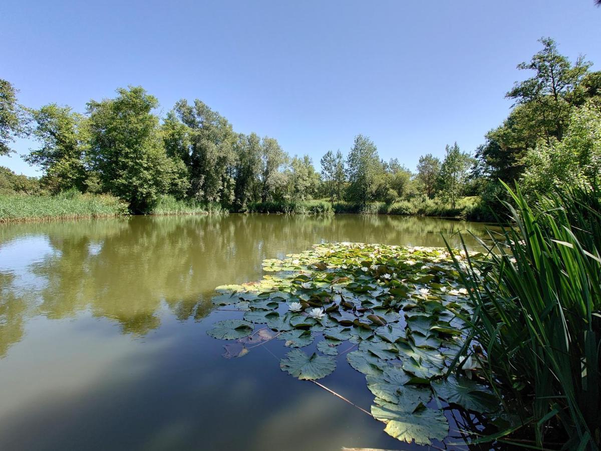 White Acre'S Holiday Park, 602 Sycamore Forest Saint Enoder 外观 照片